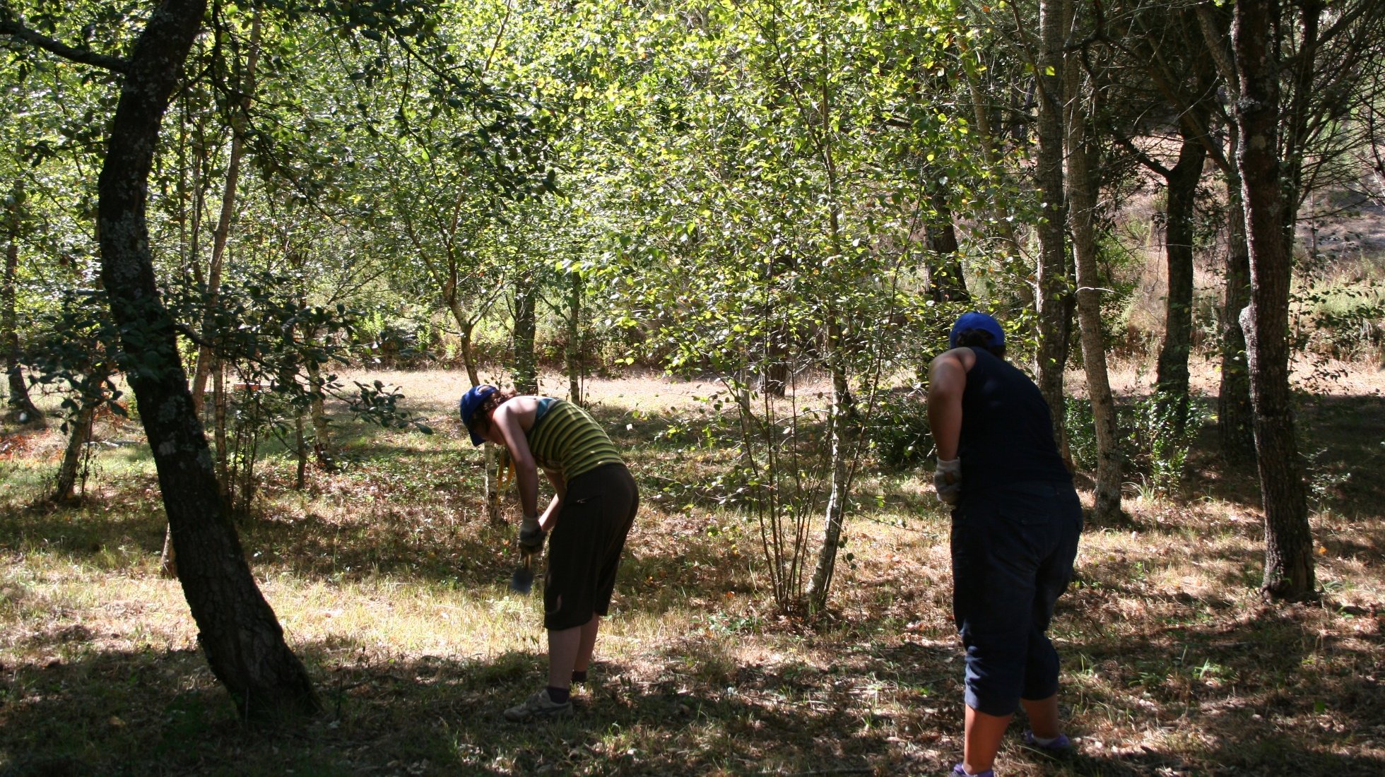 Volunteer program